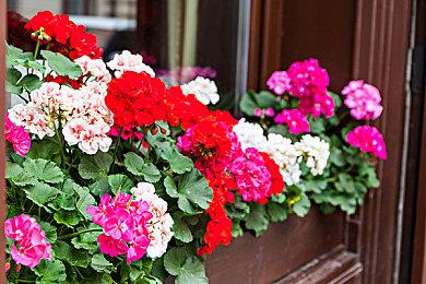 《沙加：Emerald Beyond》登陆多平台发售 系列最新作